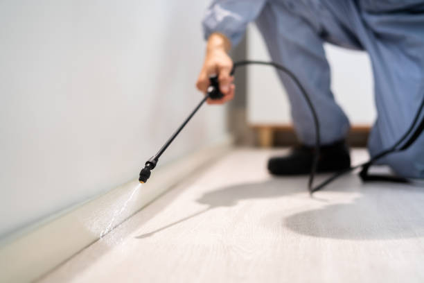 Licensed Bed Bug Control service in McKinleyville, CA - Nex Pest Control