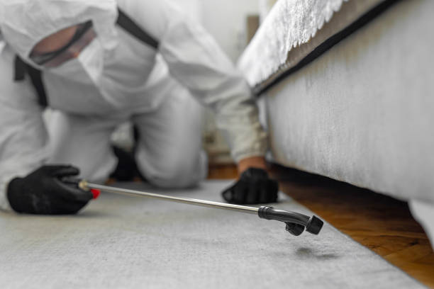 Professional Bed Bug Control technician working in McKinleyville, CA