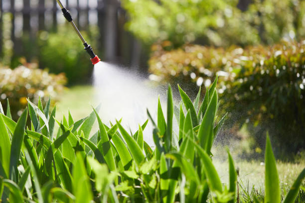 24/7 Emergency Bed Bug Control experts in McKinleyville, CA