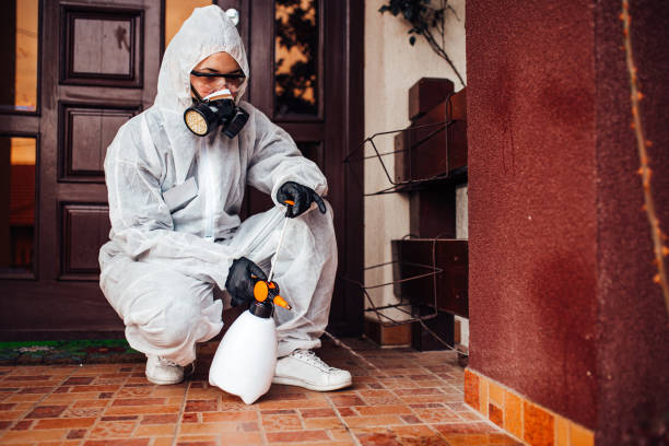 Reliable Bed Bug Control contractor in McKinleyville, CA by Nex Pest Control