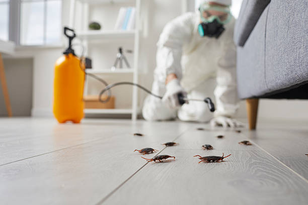 Trusted Emergency Pest Control service in McKinleyville, CA - Nex Pest Control