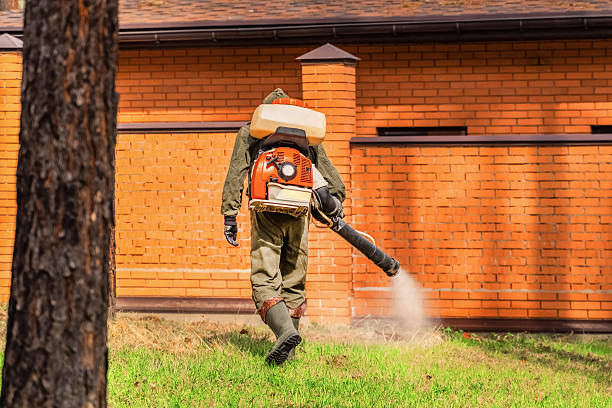 Trusted Cockroach Control service in McKinleyville, CA - Nex Pest Control